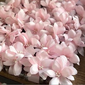 Meet your Posher, Livia